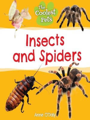 cover image of Insects and Spiders
